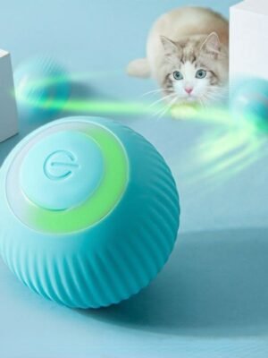 Cat Ball Auto Rolling for Kitty Training